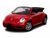 1086beetle5.jpg